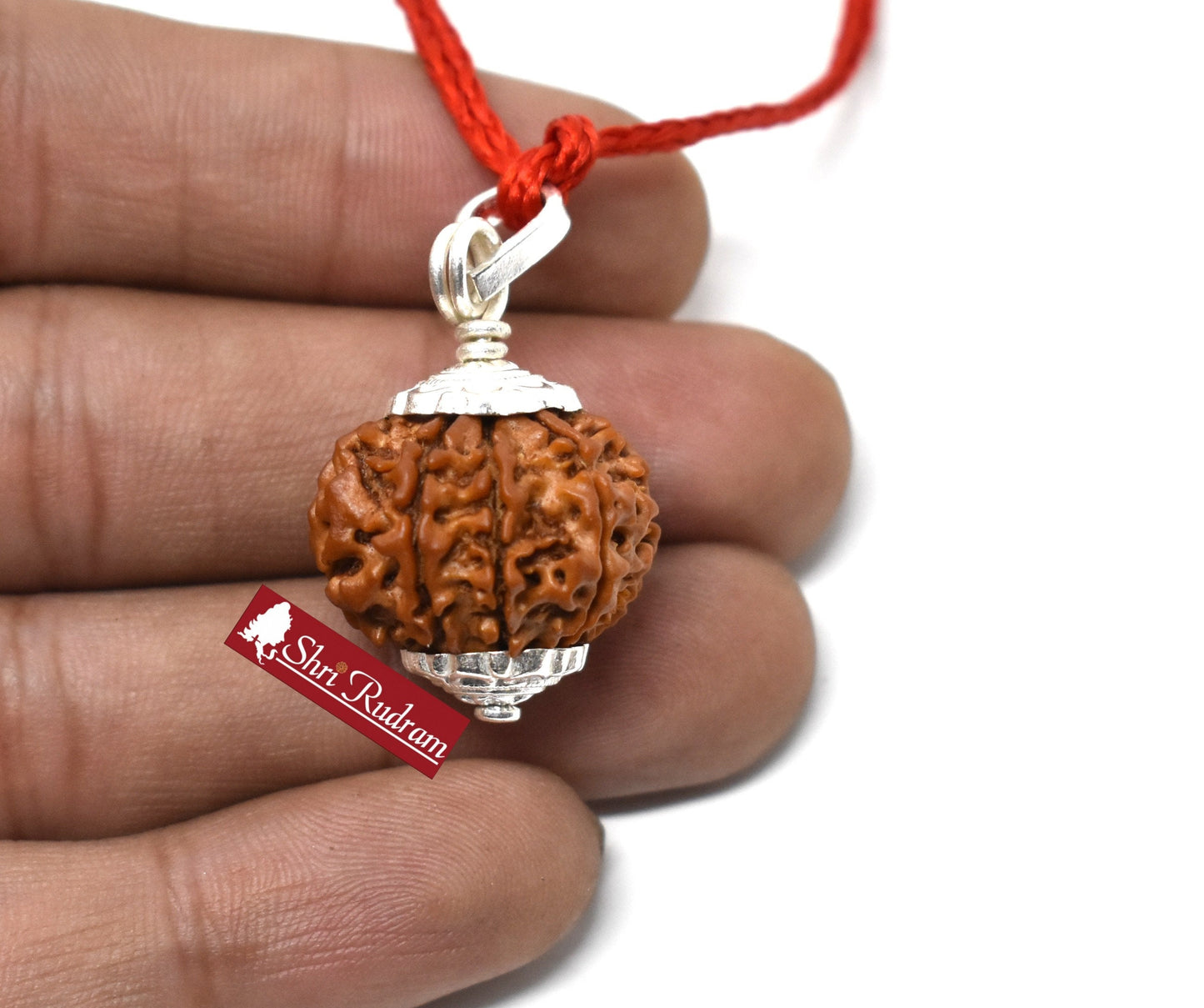 ShriRudram 8 Mukhi Rudraksha Eight Face Rudraksh Nepal Bead Lab Certified 20-22 MM