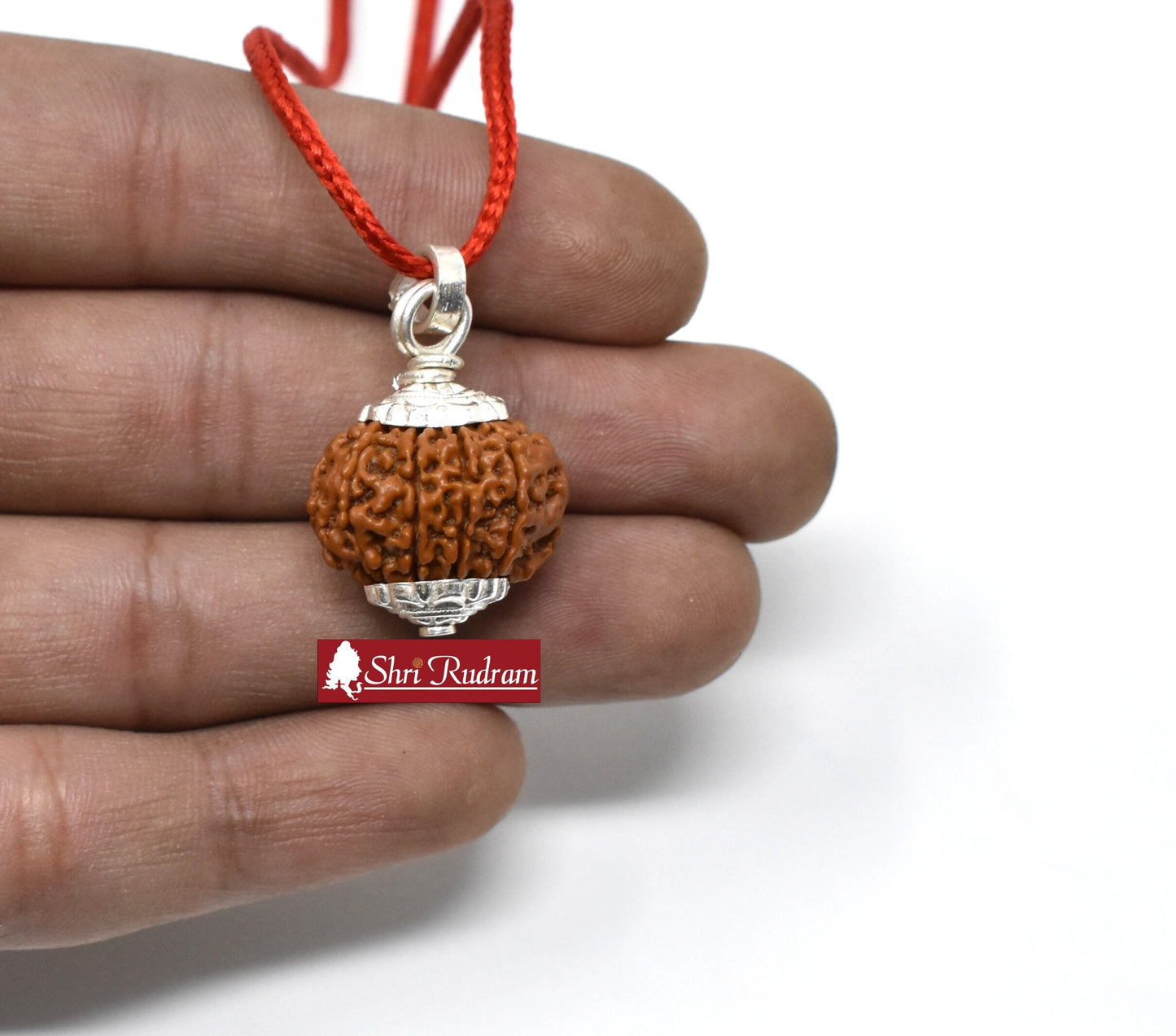 ShriRudram 10 Mukhi Rudraksha / Ten Face Rudraksh Nepal Bead Lab Certified 20-22 MM