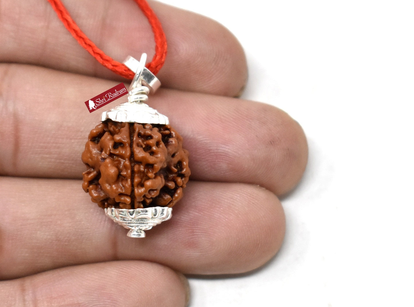 Shri Rudram 3 Mukhi Rudraksha / Three Face Rudraksh Nepal Bead Certified