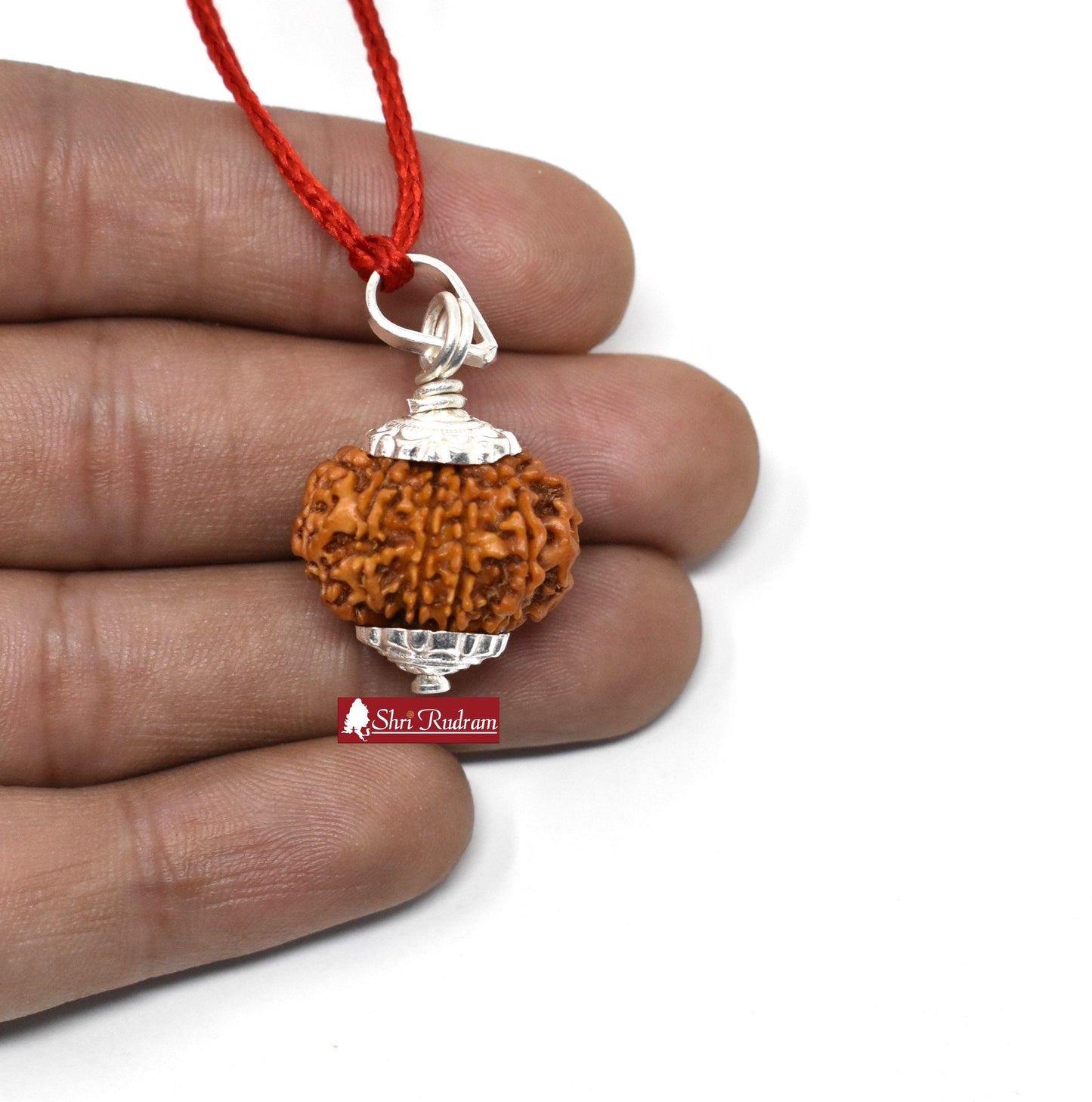 Shri Rudram 11 Mukhi Rudraksha / Eleven Face Rudraksh Nepal Bead Lab Certified 20-22 MM