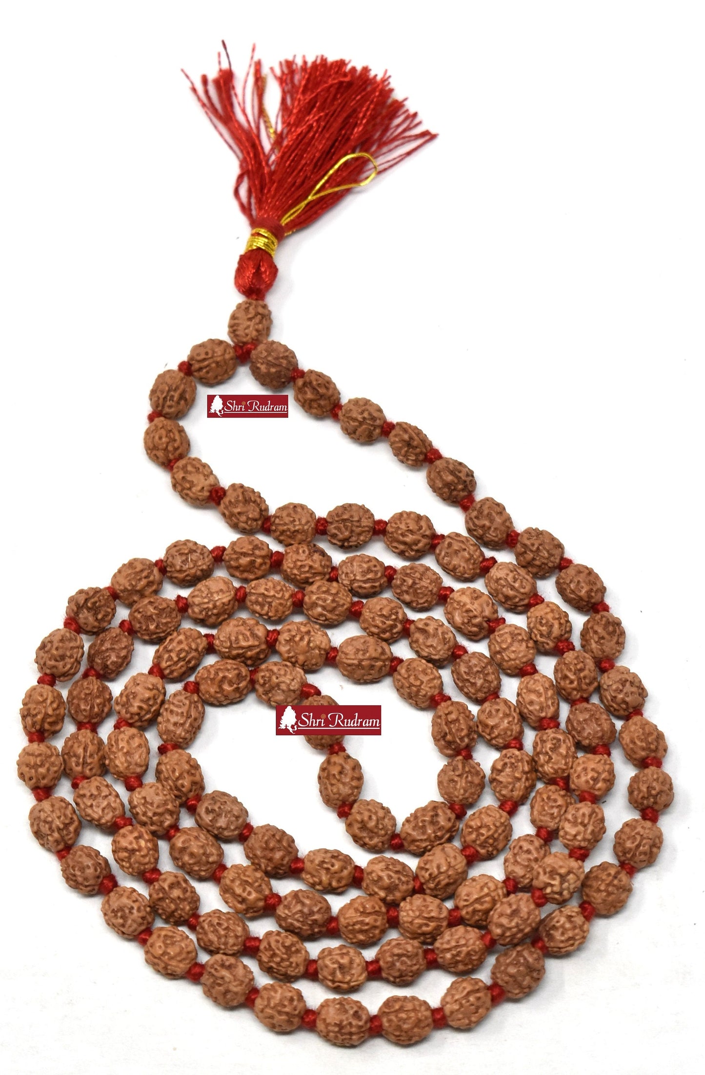 Shri Rudram 4 Mukhi Rudraksha Mala / Four Face Rudraksh Rosary Java Lab Certified