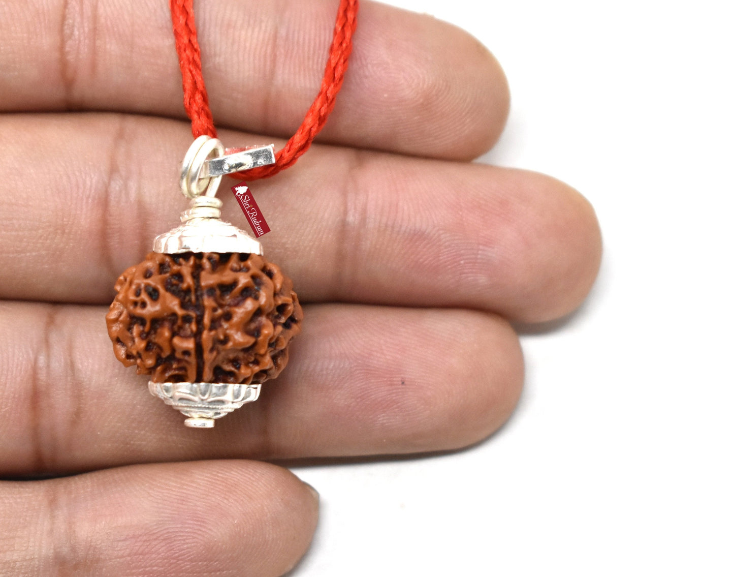 ShriRudram 8 Mukhi Rudraksha Eight Face Rudraksh Nepal Bead Lab Certified 18-20 MM