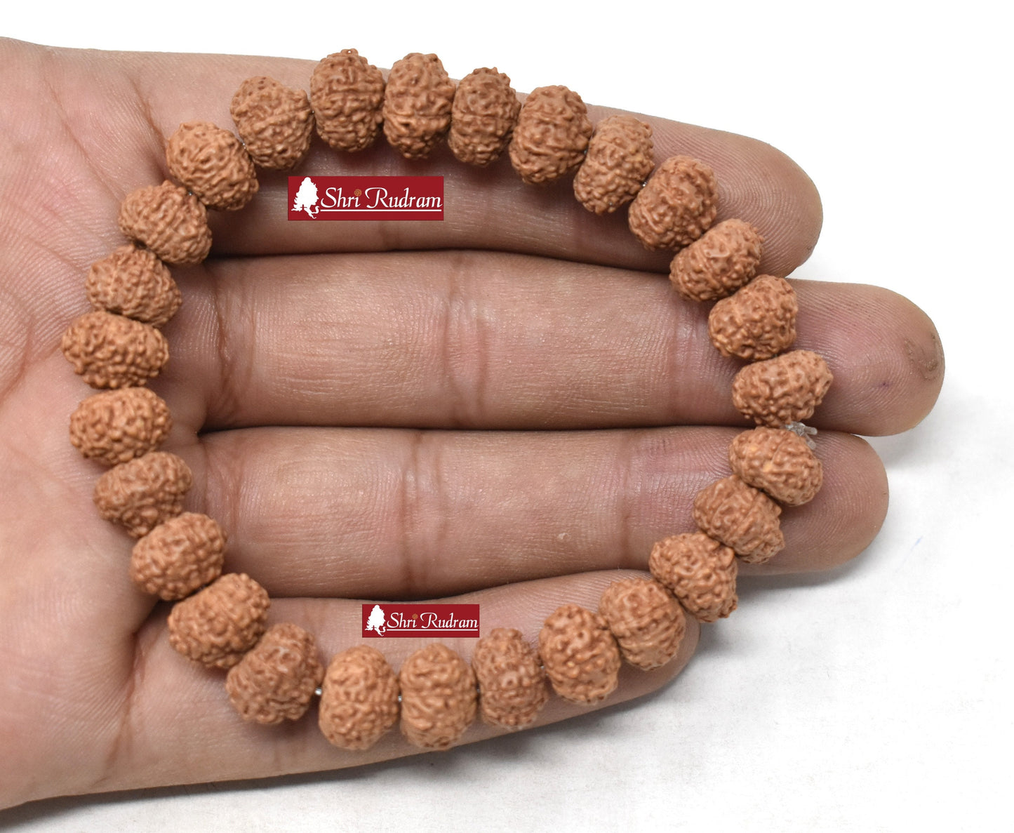 ShriRudram 10 Mukhi Rudraksha Bracelet / Ten Face Rudraksh Wristlet Java Lab Certified