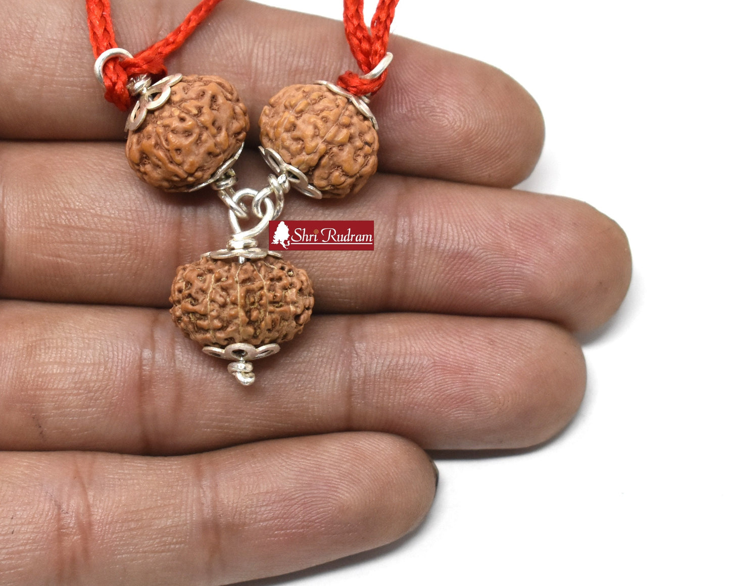 ShriRudram 7 , 8 , 12 Mukhi Rudraksha Combination / Business Mala Rosary Java Lab Certified