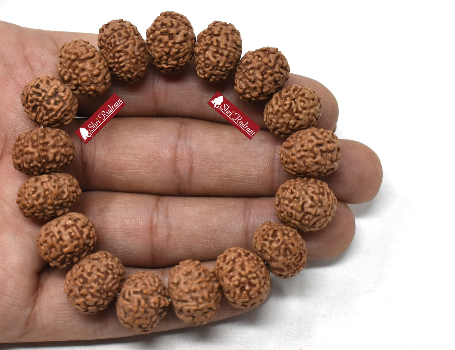 ShriRudram 10 Mukhi Rudraksha Bracelet / Ten Face Rudraksh Wristlet Java Lab Certified 15-17 MM