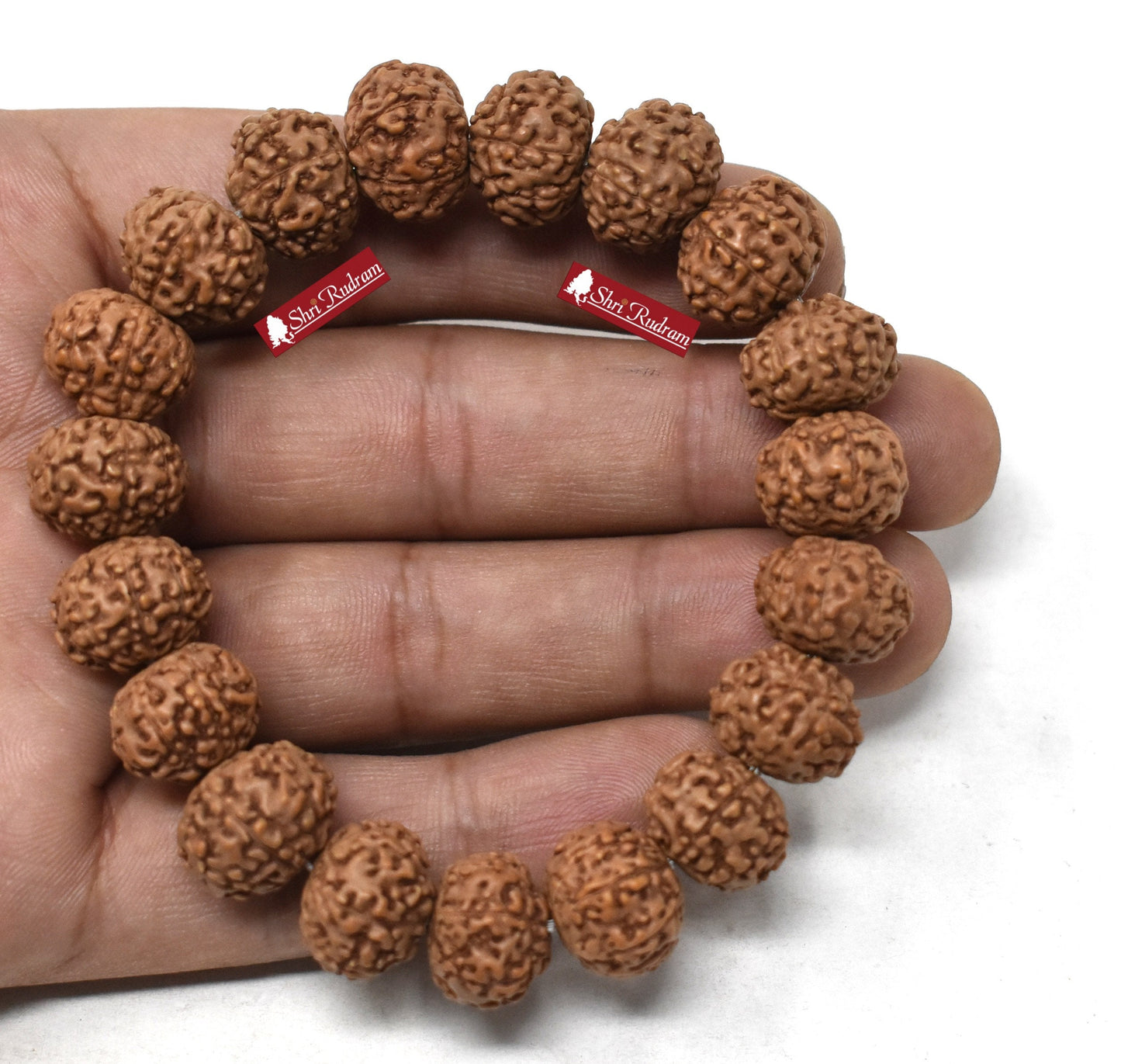 ShriRudram 8 Mukhi Rudraksha Bracelet / Eight Face Rudraksh Wristlet Java Lab Certified 15-17 MM