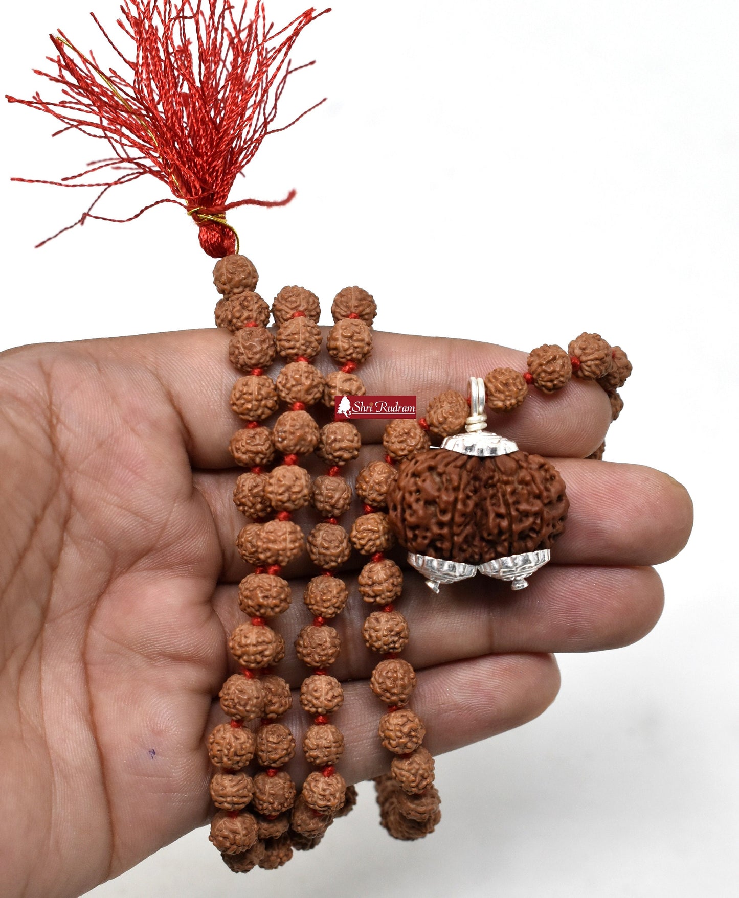ShriRudram Gauri Shankar Rudraksha / Gouri Sankar Rudraksh Nepal Bead Lab Certified Attached in 5 Mukhi Mala
