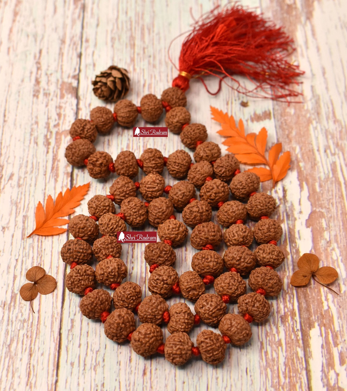 ShriRudram 10 Mukhi Rudraksha Mala / Ten Face Rudraksh Rosary Java 54+1 Beads Lab Certified 14-16 MM