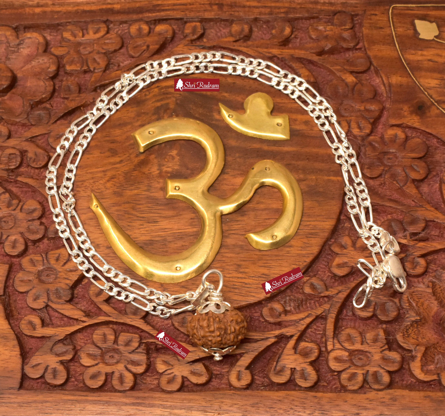 ShriRudram 10 Mukhi Rudraksha / Ten Face Rudraksh Java Bead in Pure Silver Chain Lab Certified