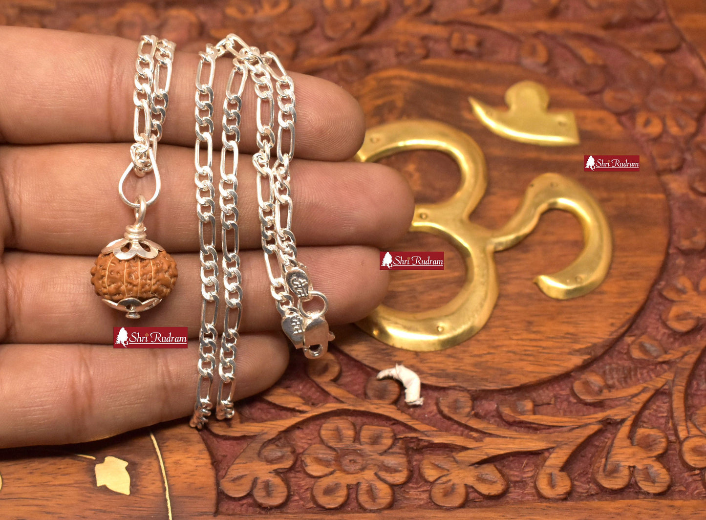 ShriRudram 12 Mukhi Rudraksha / Twelve Face Rudraksh Java Bead in Pure Silver Chain Lab Certified