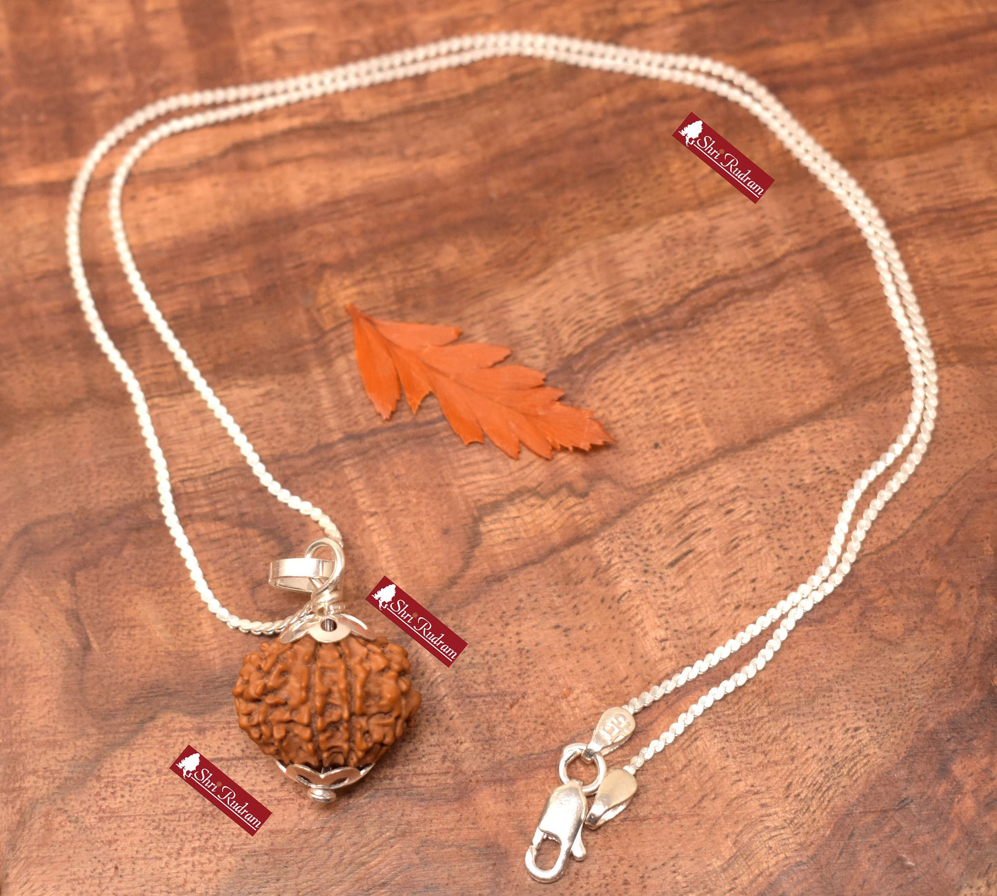 ShriRudram 8 Mukhi Rudraksha / Eight Face Rudraksh Nepal Bead in Pure Silver Chain Lab Certified D2