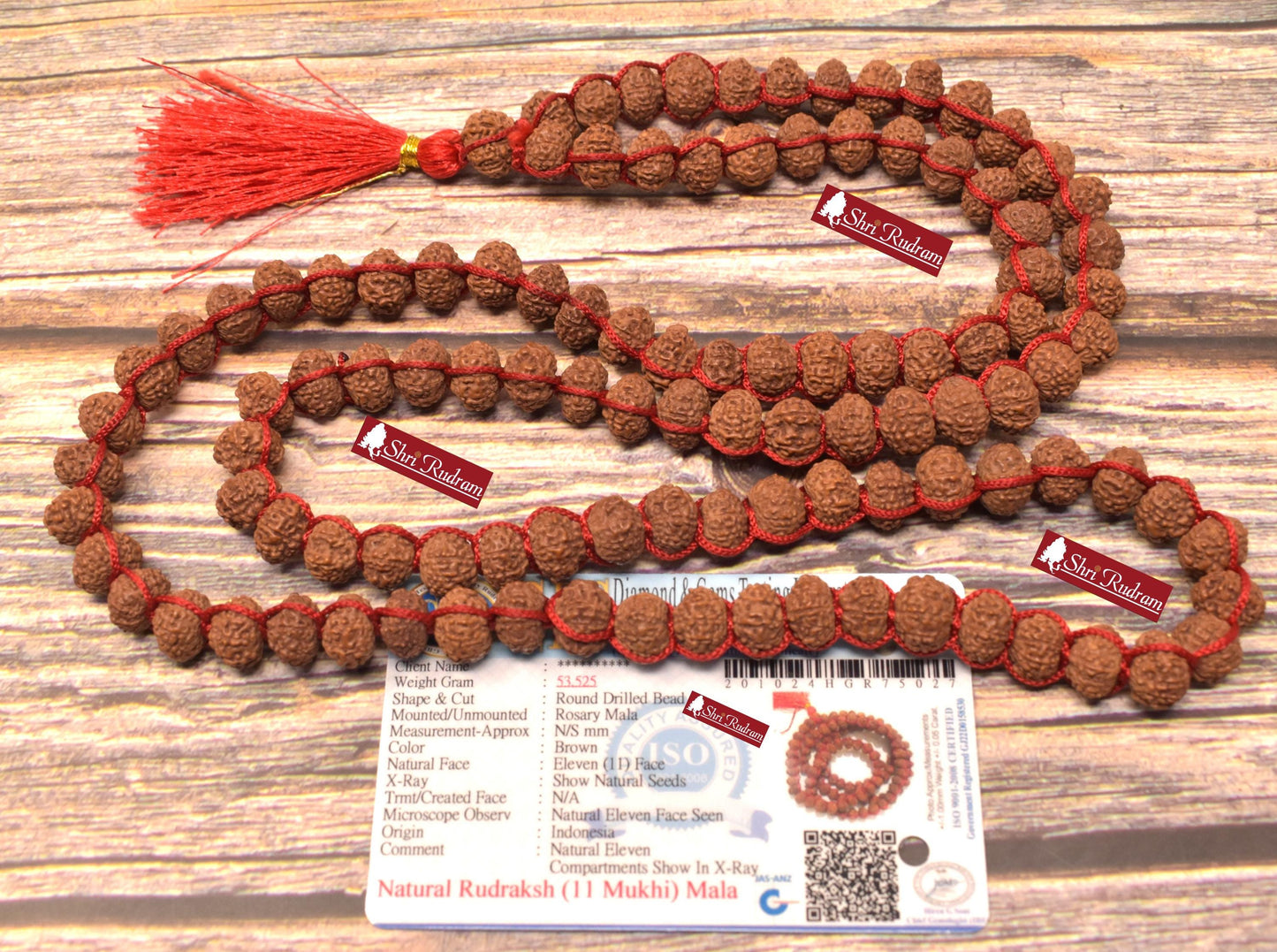 ShriRudram 11 Mukhi Rudraksha Mala / Eleven Face Rudraksh Rosary Java Lab Certified 108+1 Beads 10 MM D27