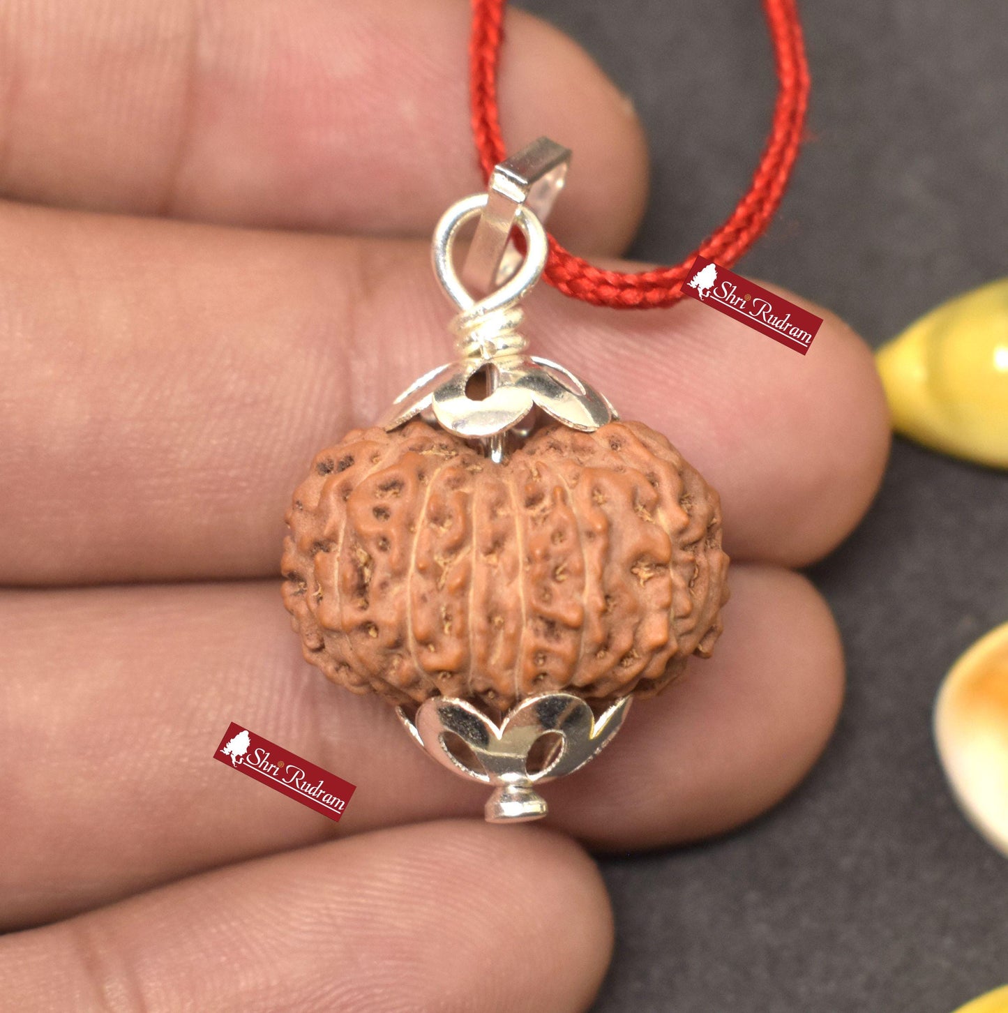 ShriRudram 13 MUkhi Rudraksha / Thirteen Face Rudraksh Java Bead Lab Certified 21.86 MM