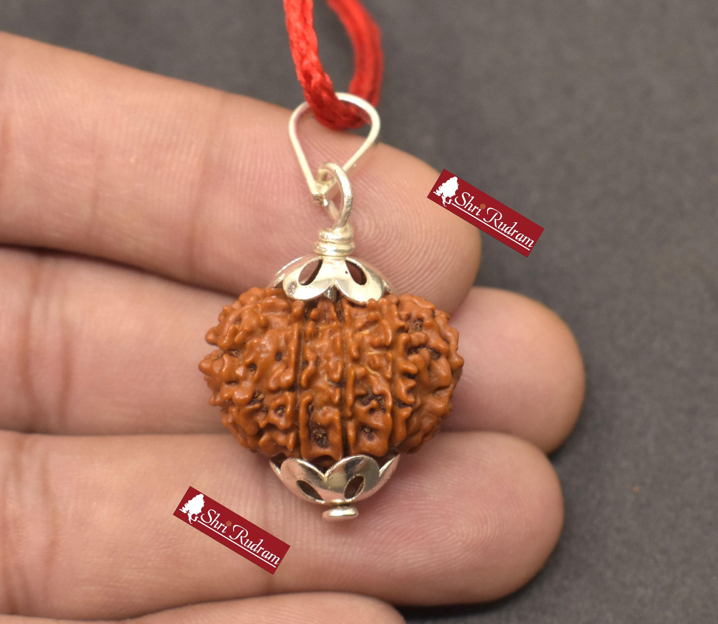 ShriRudram 12 Mukhi Rudraksha / Twelve Face Rudraksh Nepal Bead Lab Certified 23.52 MM