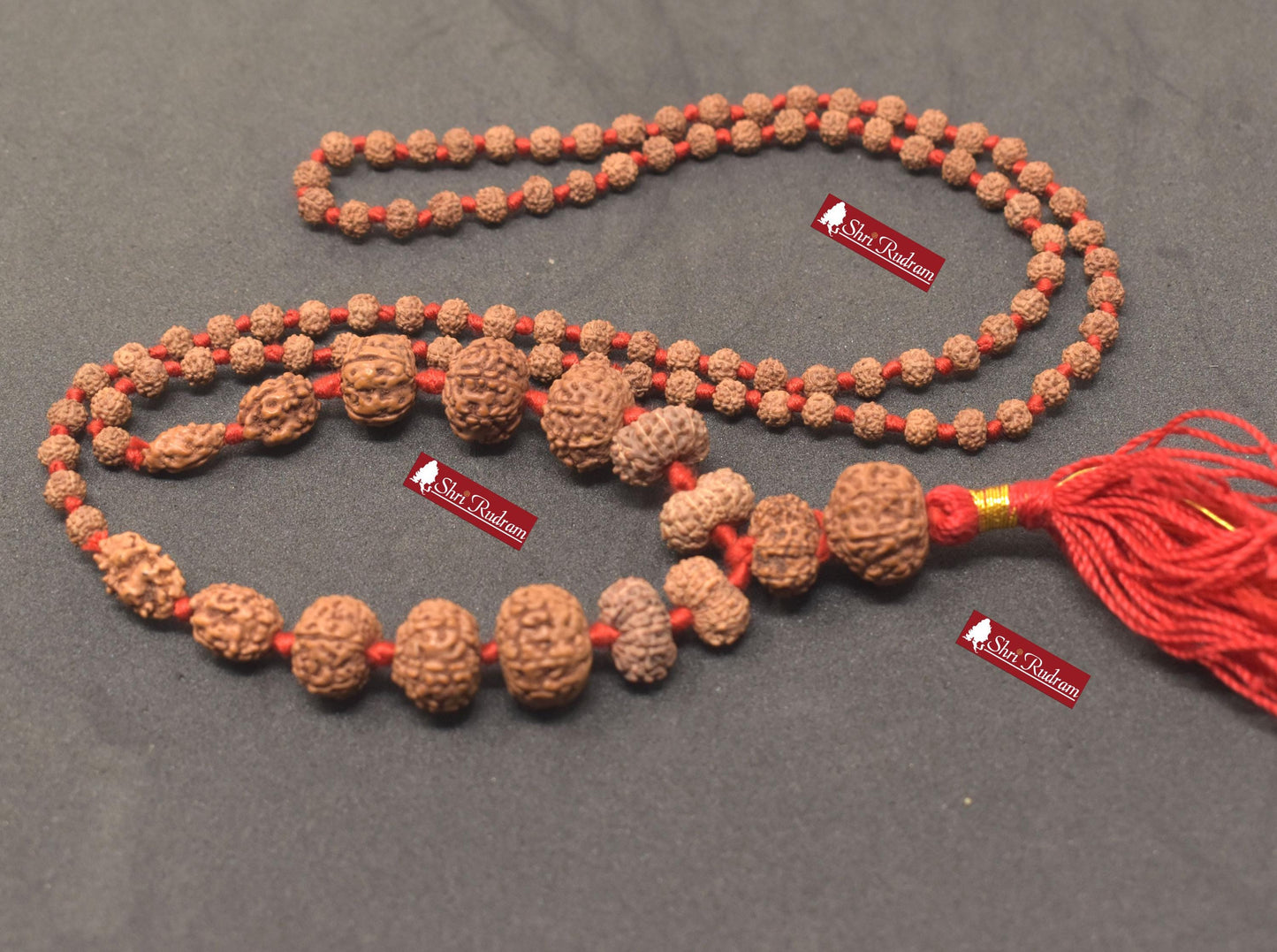 ShriRudram Siddha Mala 1 - 14 Mukhi , Gauri Shankar , Ganesh Rudraksha Rudraksh Lab Certified D89