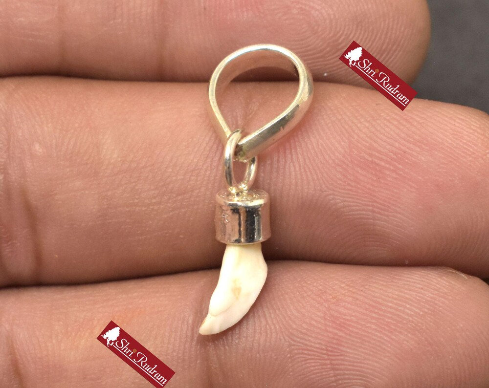 ShriRudram Natural Ketu Mani Stone Locket Pendant in Silver • Reduce and Remove Impact of Planet Ketu • Ketu Mukta Mani Lab Certified D01