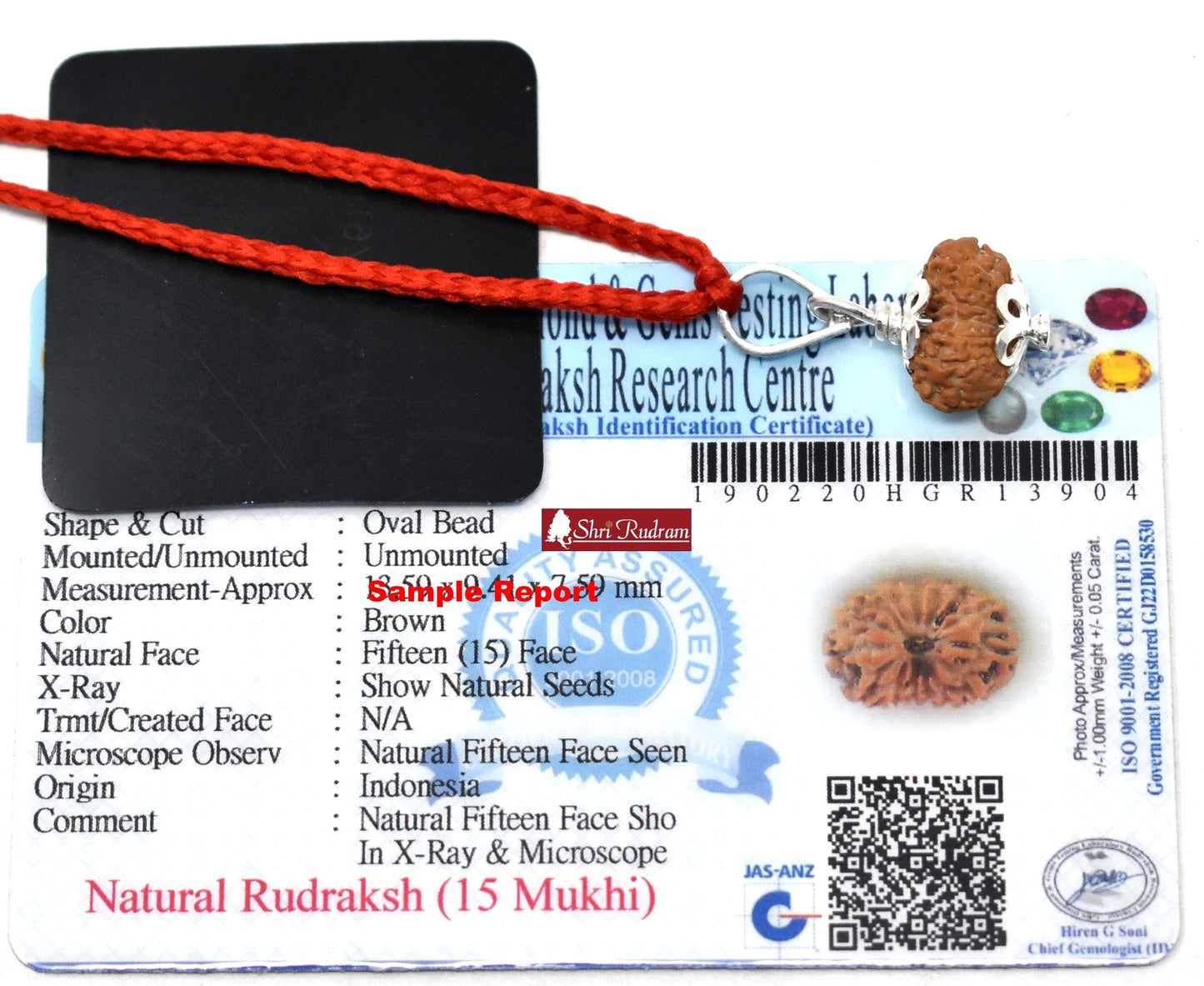 Shri Rudram 15 Mukhi Rudraksha / Fifteen Face Rudraksh Java Bead Lab Certified
