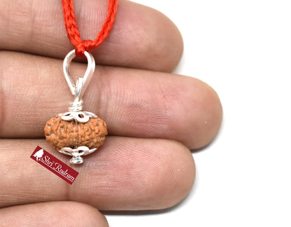 Shri Rudram 15 Mukhi Rudraksha / Fifteen Face Rudraksh Java Bead Lab Certified