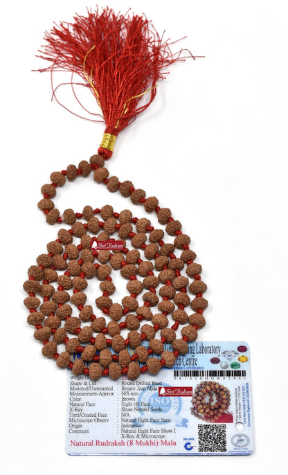 Shri Rudram 8 Mukhi Rudraksha Mala / Eight Face Rudraksh Rosary Java Lab Certified