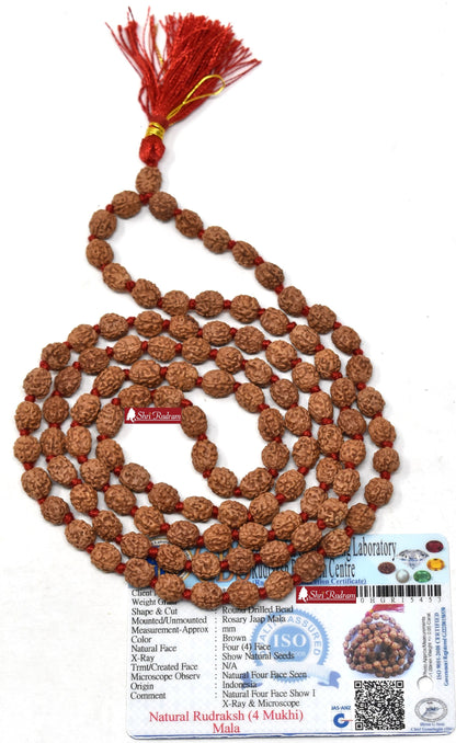 Shri Rudram 4 Mukhi Rudraksha Mala / Four Face Rudraksh Rosary Java Lab Certified