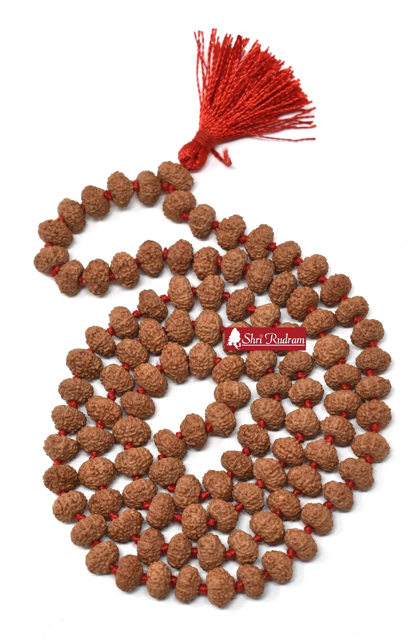 ShriRudram 10 Mukhi Rudraksha Mala / Ten Face Rudraksh Rosary Java Lab Certified 8-9 MM