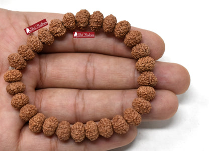 Shri Rudram 9 Mukhi Rudraksha Bracelet / Nine Face Rudraksh Wristlet Java Lab Certified