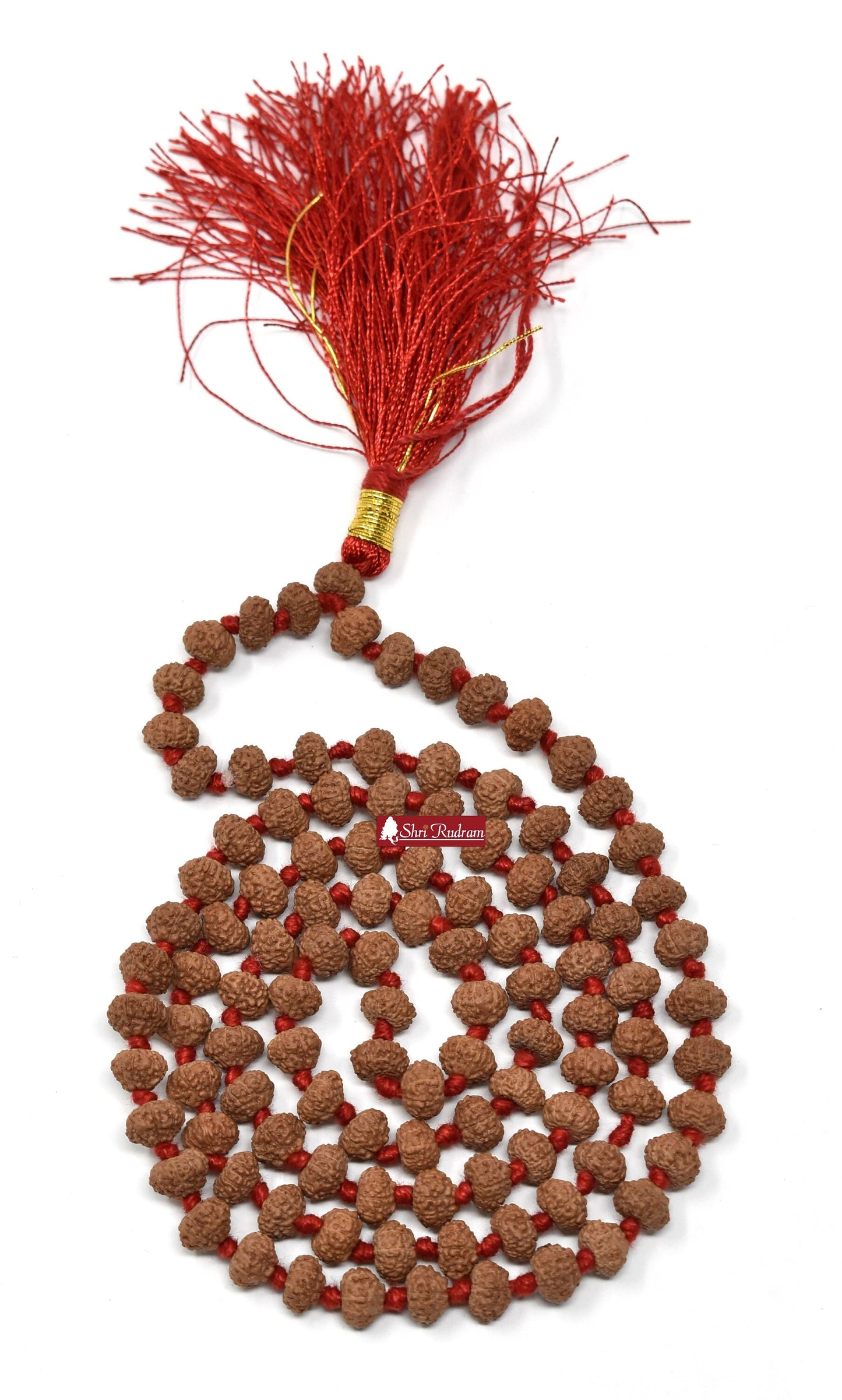 Shri Rudram 8 Mukhi Rudraksha Mala / Eight Face Rudraksh Rosary Java Lab Certified