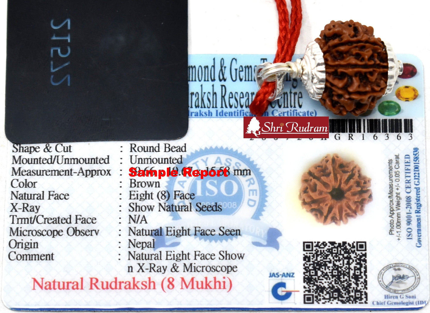 ShriRudram 8 Mukhi Rudraksha Eight Face Rudraksh Nepal Bead Lab Certified 18-20 MM