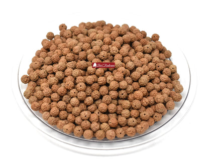 Shri Rudram 5 Mukhi Rudraksha Rudraksh Loose Beads Wholesale Lot of 1051 Beads Natural Uncoloured UnDyed