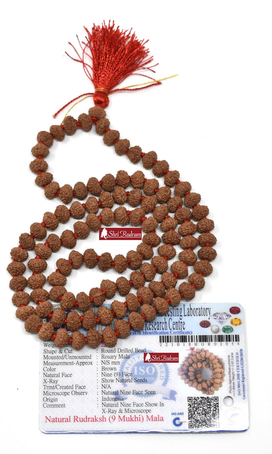 Shri Rudram 9 Mukhi Rudraksha Mala / Nine Face Rudraksh Rosary Java Lab Certified 8-9 MM
