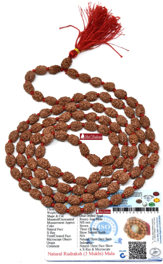 ShriRudram 3 Mukhi Rudraksha Mala / Three Face Rudraksh Rosary Java Lab Certified 108+1 Beads