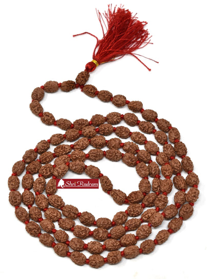 ShriRudram 3 Mukhi Rudraksha Mala / Three Face Rudraksh Rosary Java Lab Certified 108+1 Beads