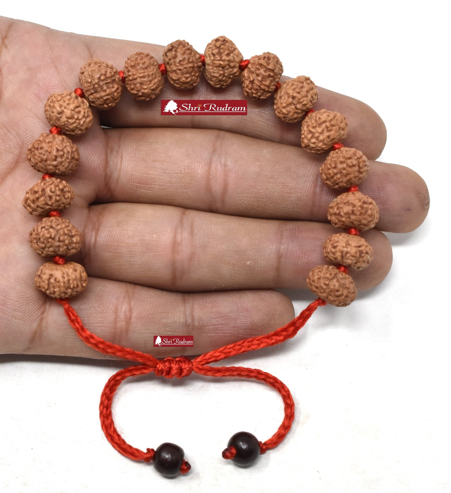 Shri Rudram 10 Mukhi Rudraksha Bracelet / Ten Face Rudraksh Wristlet Java Lab Certified D2