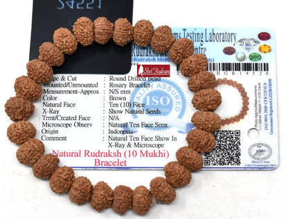 ShriRudram 10 Mukhi Rudraksha Bracelet / Ten Face Rudraksh Wristlet Java Lab Certified