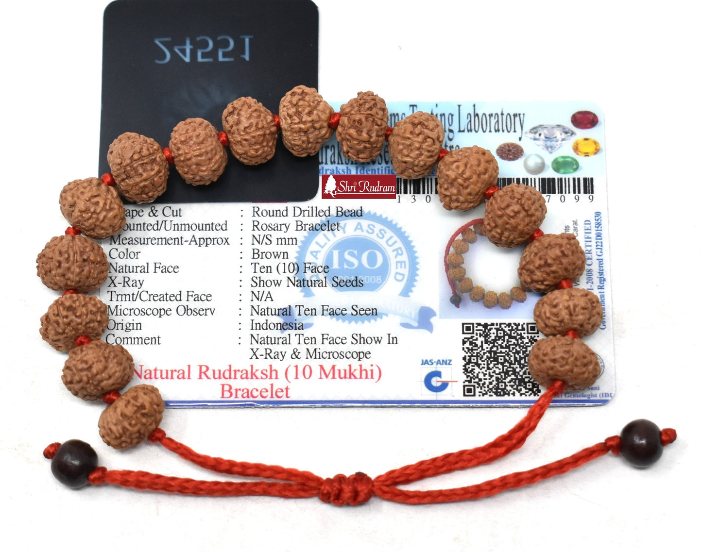 Shri Rudram 10 Mukhi Rudraksha Bracelet / Ten Face Rudraksh Wristlet Java Lab Certified D2