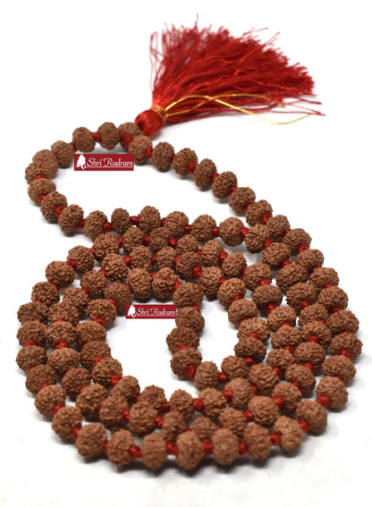 ShriRudram 7 Mukhi Rudraksha Mala / Seven Face Rudraksh Rosary Java Lab Certified 8-9 MM
