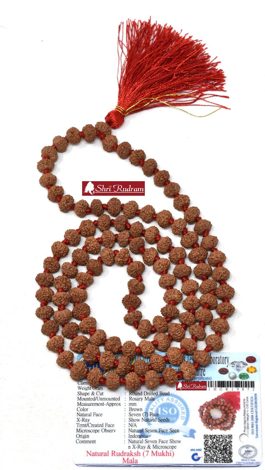 ShriRudram 7 Mukhi Rudraksha Mala / Seven Face Rudraksh Rosary Java Lab Certified 8-9 MM