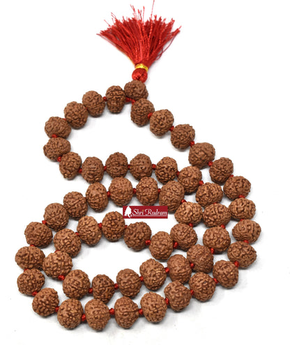 ShriRudram 8 Mukhi Rudraksha Mala / Eight Face Rudraksh Rosary Java Lab Certified 13-14 MM