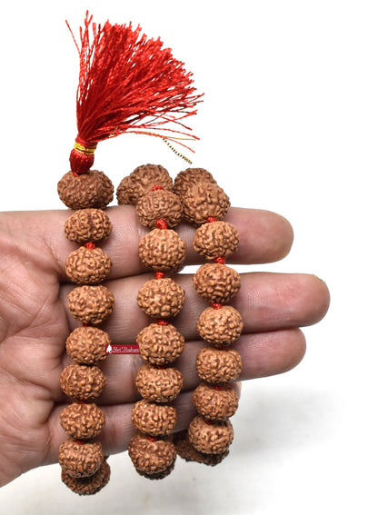ShriRudram 8 Mukhi Rudraksha Mala / Eight Face Rudraksh Rosary Java Lab Certified 13-14 MM