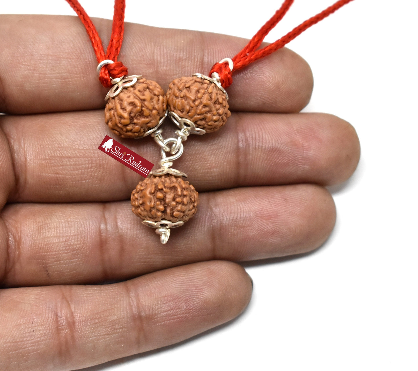 ShriRudram 8 , 9 , 10 Mukhi Rudraksha Combination , Kaal Sarp Nivaran Mala Rosary Java Lab Certified