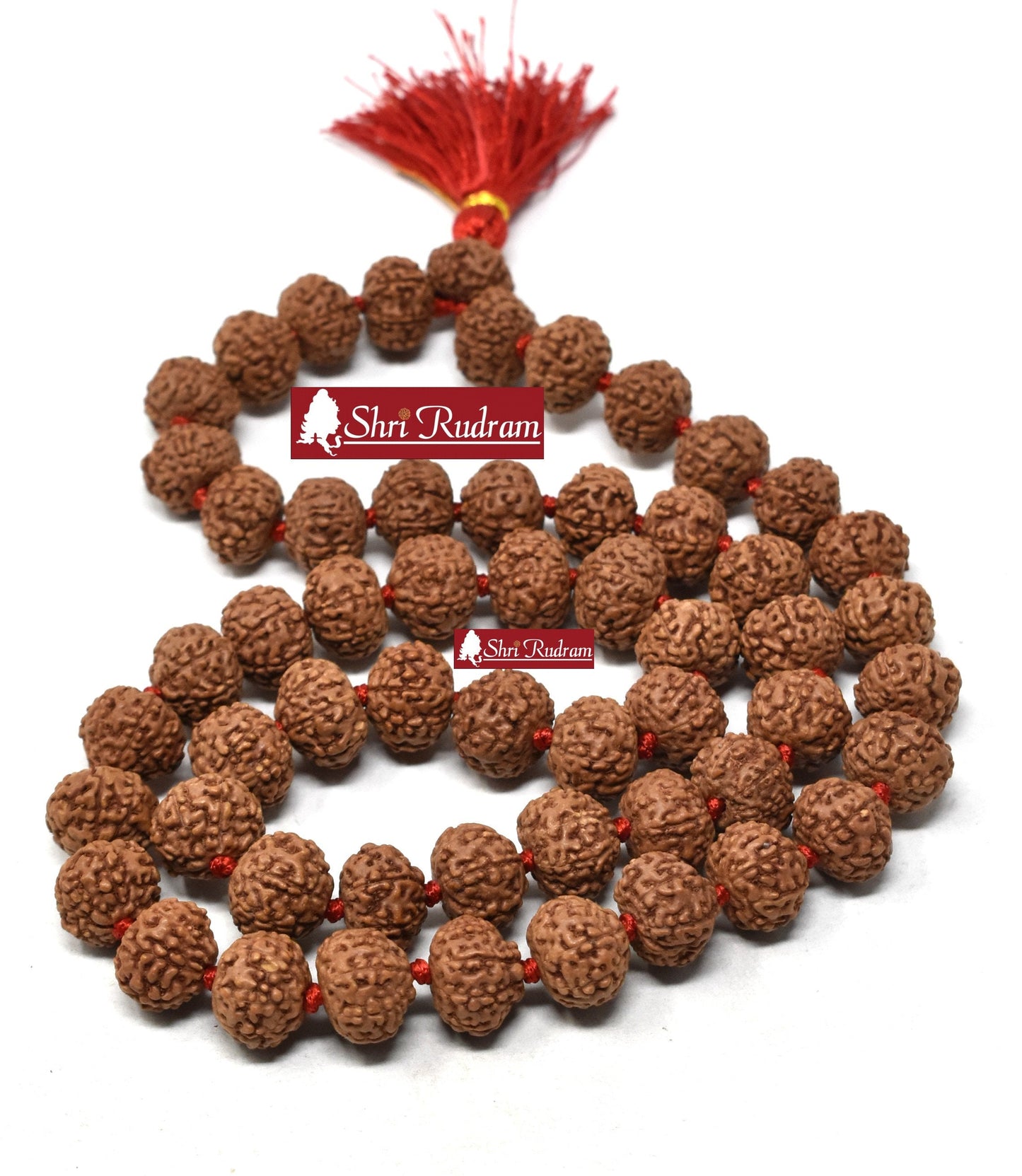 ShriRudram 8 Mukhi Rudraksha Mala / Eight Face Rudraksh Rosary Java Lab Certified 13-14 MM