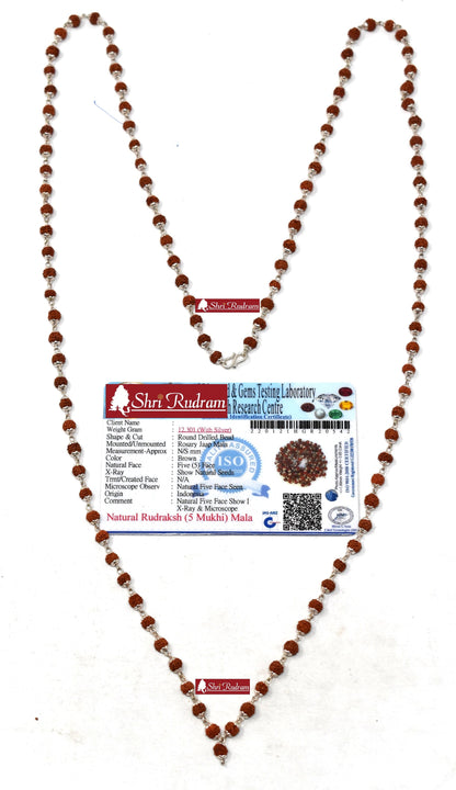 Shri Rudram 5 Mukhi Rudraksha Mala / Five Face Rudraksh Rosary in Silver Lab Certified 108+1 Beads
