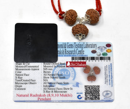 ShriRudram 8 , 9 , 10 Mukhi Rudraksha Combination , Kaal Sarp Nivaran Mala Rosary Java Lab Certified