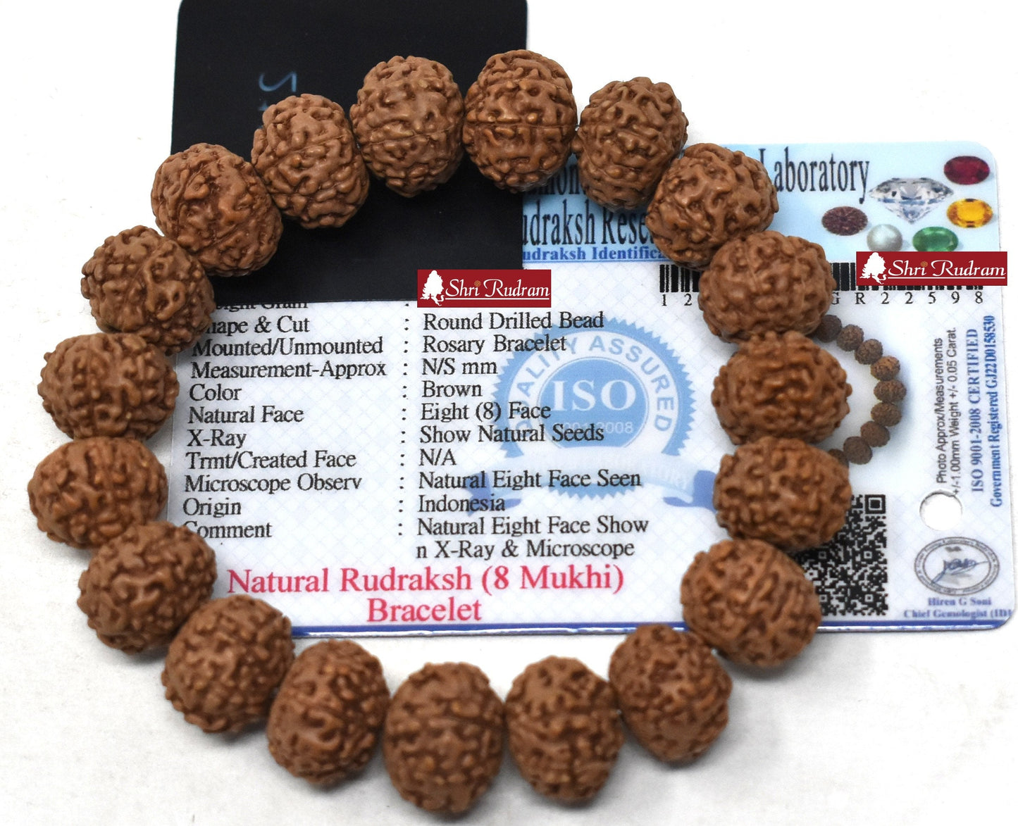 ShriRudram 8 Mukhi Rudraksha Bracelet / Eight Face Rudraksh Wristlet Java Lab Certified 15-17 MM