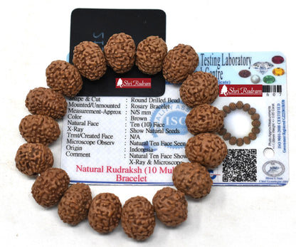 ShriRudram 10 Mukhi Rudraksha Bracelet / Ten Face Rudraksh Wristlet Java Lab Certified 15-17 MM