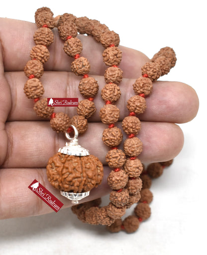 ShriRudram 9 Mukhi Rudraksha / Nine Face Rudraksh Nepal Bead Lab Certified Attached in 5 Mukhi Mala