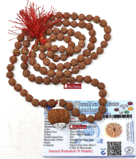 ShriRudram 9 Mukhi Rudraksha / Nine Face Rudraksh Nepal Bead Lab Certified Attached in 5 Mukhi Mala