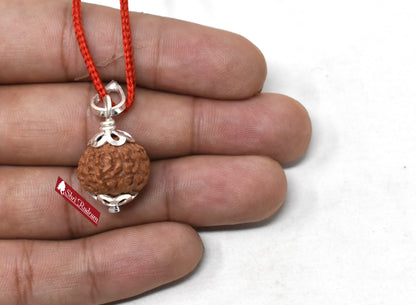 ShriRudram 10 Mukhi Rudraksha Ten Face Rudraksh Java Bead Lab Certified 17-20 MM