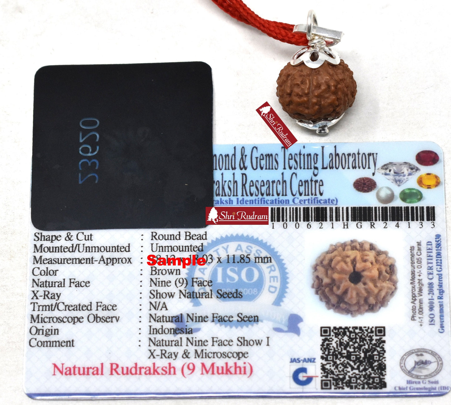Shri Rudram 9 Mukhi Rudraksha Nine Face Rudraksh Java Bead Lab Certified 18-20 MM