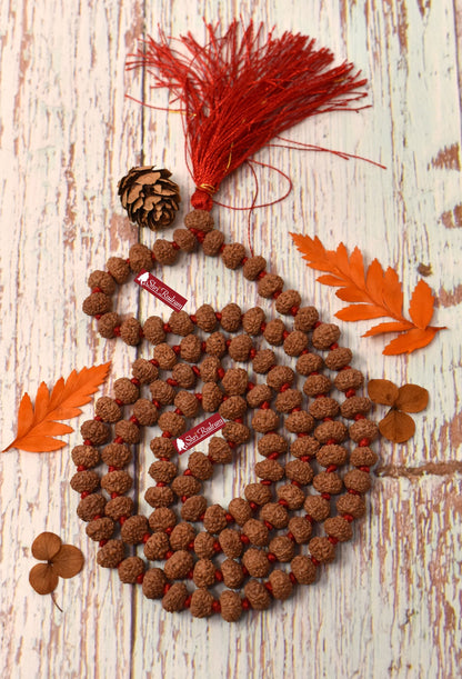 ShriRudram 8 Mukhi Rudraksha Mala / Eight Face Rudraksh Rosary Java 108+1 Bead Lab Certified